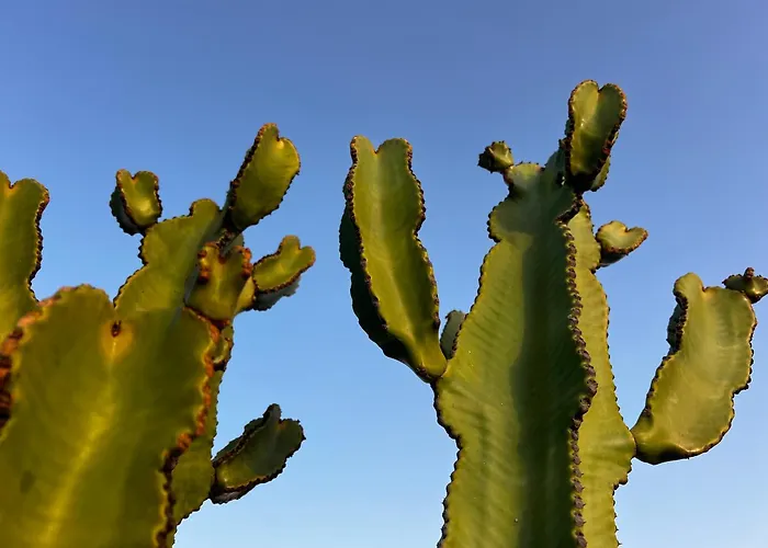 Casa Lume * تيغيسي