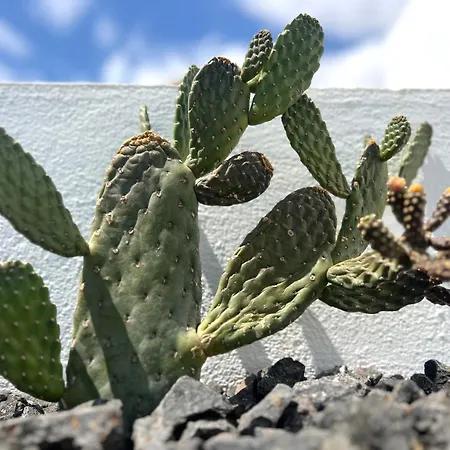 Vila Casa Lume Teguise (Lanzarote)