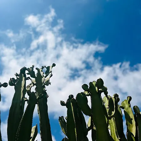 Casa Lume * Teguise (Lanzarote)