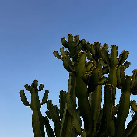 Casa Lume Villa Teguise (Lanzarote)