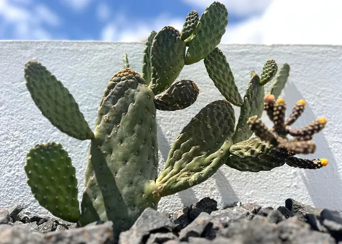 Vila Casa Lume Teguise (Lanzarote)
